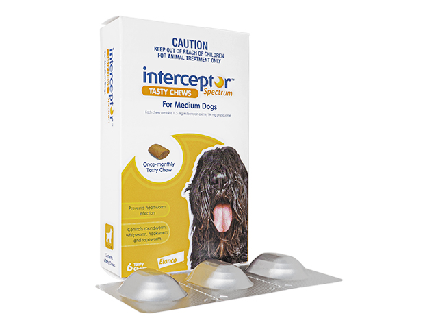 Interceptor[11-22kg中型犬用]6チュアブル 1箱