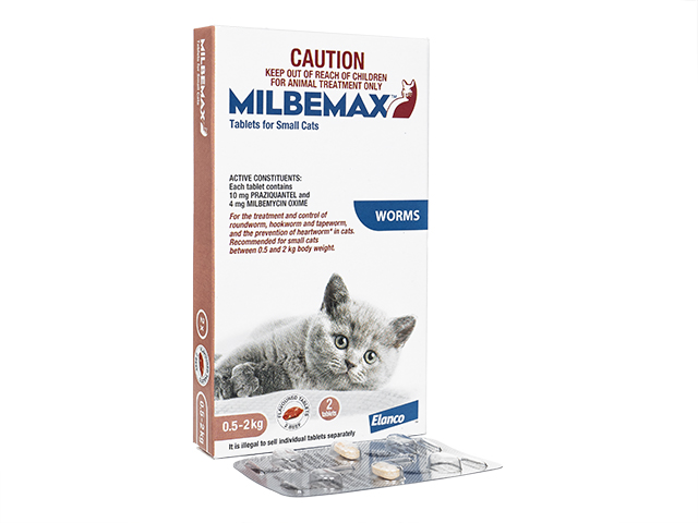 ミルベマックス[10mg+4mg]小型猫用(0.5-2kg)2錠 2箱